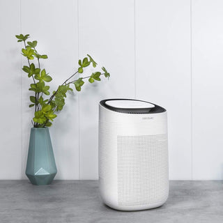 Big Dry 2500 pure light