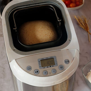Bread Maker Panexpress 1000 Metal 550W