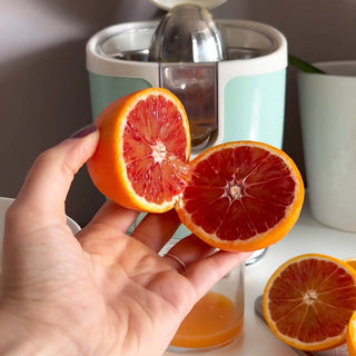 Vintage Electric Juicer 400W