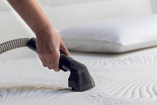 2482 Spot Cleaner Heat Pro 750W