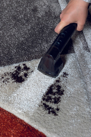 2482 Spot Cleaner Heat Pro 750W