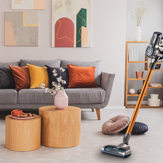 Cordless Cleaner 22.2V Lith.Digital Motor