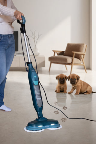 Dual Steam Scrub Rotating Brushes ,1200W