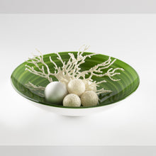 Load image into Gallery viewer, Center Piece/ Fruit Bowl Twist Kiwi
