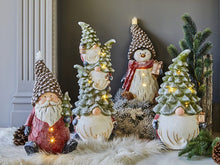 Load image into Gallery viewer, Penguin 45cm/h with LED Christmas Forest
