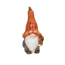 Load image into Gallery viewer, Elf With Squirrel 31cm/h Christmas ELF
